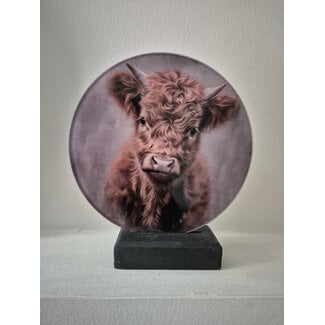 # Mix - Glasplaat rond incl houder - 18 x 20 cm - diverse afbeeldingen mogelijk