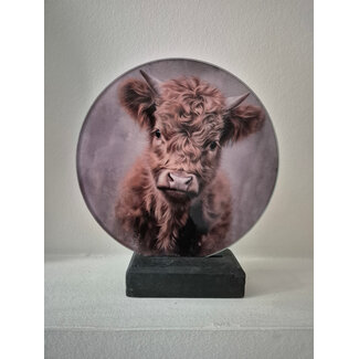 wordt niet verzonden  - Mix - Glasplaat rond incl houder - 18 x 20 cm - diverse afbeeldingen mogelijk