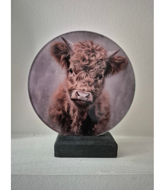 ## wordt niet verzonden  - Mix - Glasplaat rond incl houder - 18 x 20 cm - diverse afbeeldingen mogelijk