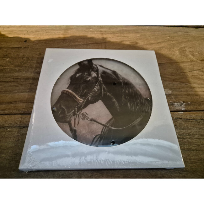 ## wordt niet verzonden  - Mix - Glasplaat rond incl houder - 18 x 20 cm - diverse afbeeldingen mogelijk