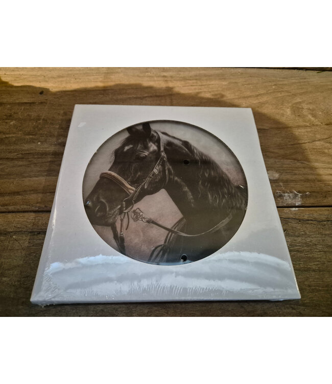 ## wordt niet verzonden  - Mix - Glasplaat rond incl houder - 18 x 20 cm - diverse afbeeldingen mogelijk