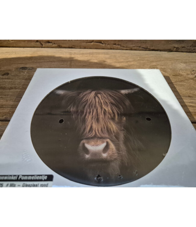 ## wordt niet verzonden  - Mix - Glasplaat rond incl houder - 18 x 20 cm - diverse afbeeldingen mogelijk