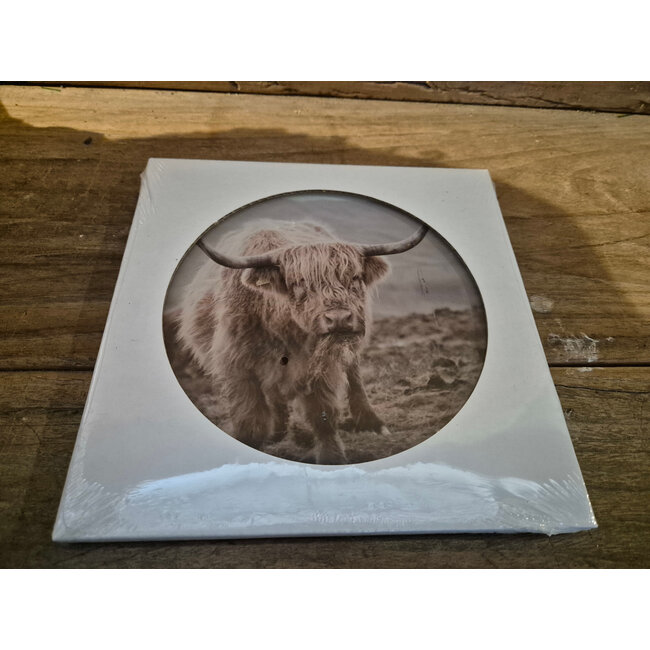 Mix - Glasplaat rond incl houder - 18 x 20 cm - diverse afbeeldingen mogelijk