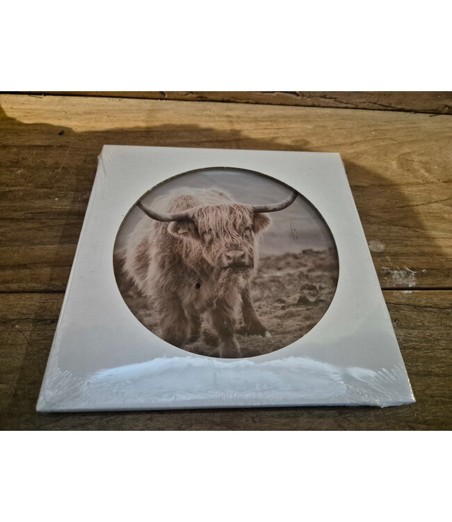 ## wordt niet verzonden  - Mix - Glasplaat rond incl houder - 18 x 20 cm - diverse afbeeldingen mogelijk