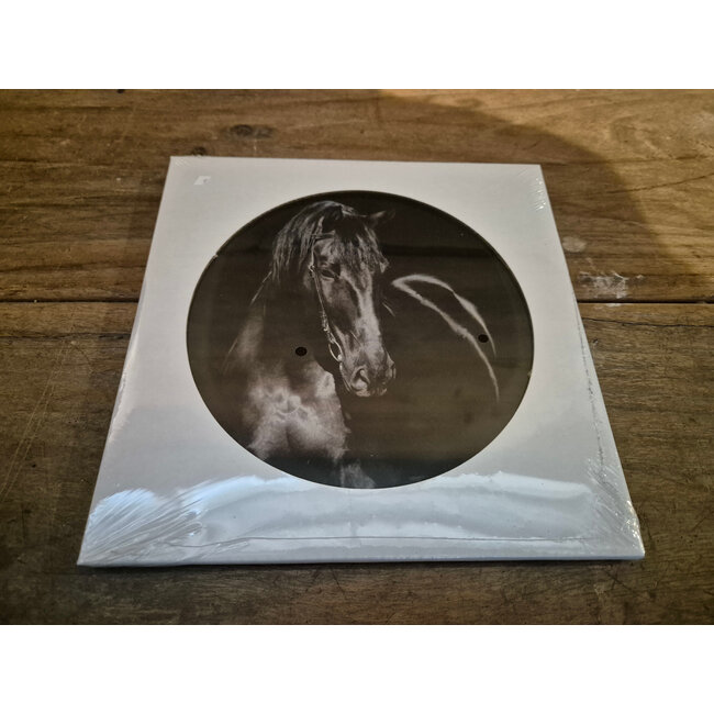 ## wordt niet verzonden  - Mix - Glasplaat rond incl houder - 18 x 20 cm - diverse afbeeldingen mogelijk