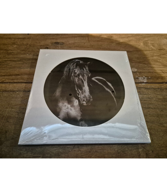 ## wordt niet verzonden  - Mix - Glasplaat rond incl houder - 18 x 20 cm - diverse afbeeldingen mogelijk