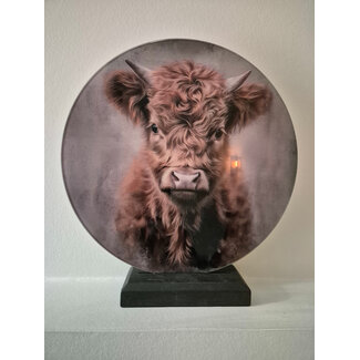 ## wordt niet verzonden - Mix - Glasplaat rond incl houder - 30 x 32 cm - diverse afbeeldingen mogelijk