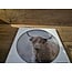 # Mix - Glasplaat rond incl houder - 30 x 32 cm - diverse afbeeldingen mogelijk