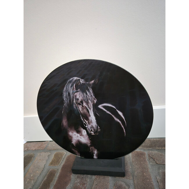 Mix - Glasplaat rond incl houder - 30 x 32 cm - diverse afbeeldingen mogelijk