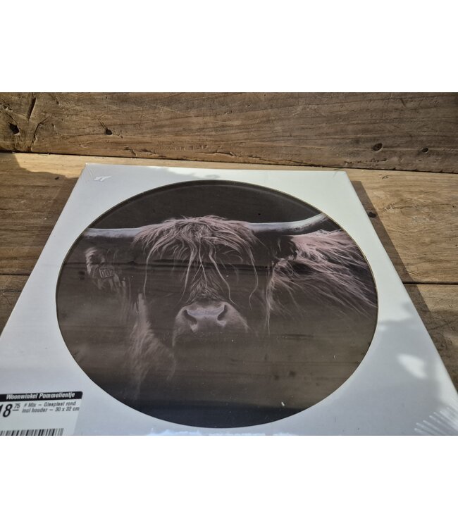 ## wordt niet verzonden - Mix - Glasplaat rond incl houder - 30 x 32 cm - diverse afbeeldingen mogelijk