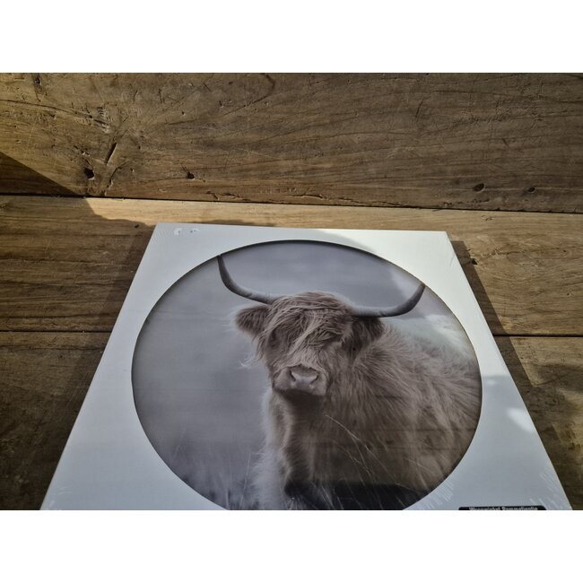 Mix - Glasplaat rond incl houder - 30 x 32 cm - diverse afbeeldingen mogelijk