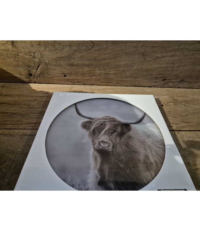 ## wordt niet verzonden - Mix - Glasplaat rond incl houder - 30 x 32 cm - diverse afbeeldingen mogelijk