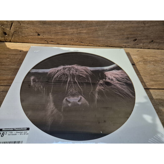 ## wordt niet verzonden - Mix - Glasplaat rond incl houder - 30 x 32 cm - diverse afbeeldingen mogelijk