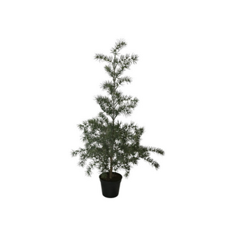 Boom Lund - 90 x 45 x 45