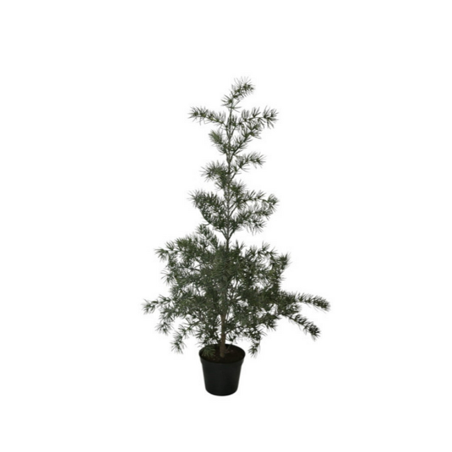 Boom Lund - 90 x 45 x 45