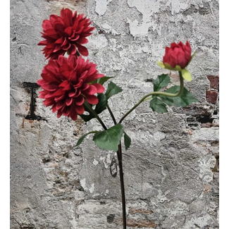 Flowr dahlia rood 72cm