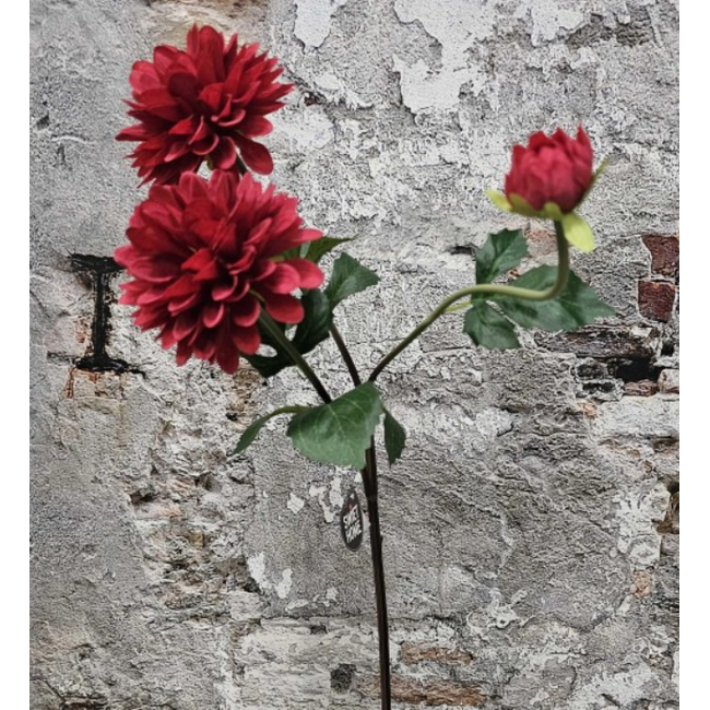 Flowr dahlia rood 72cm