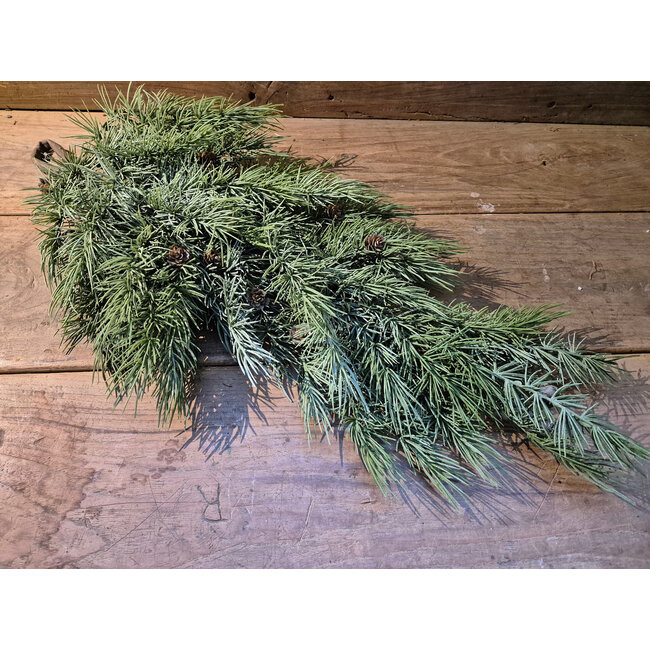 # Ceder Toef Real touch