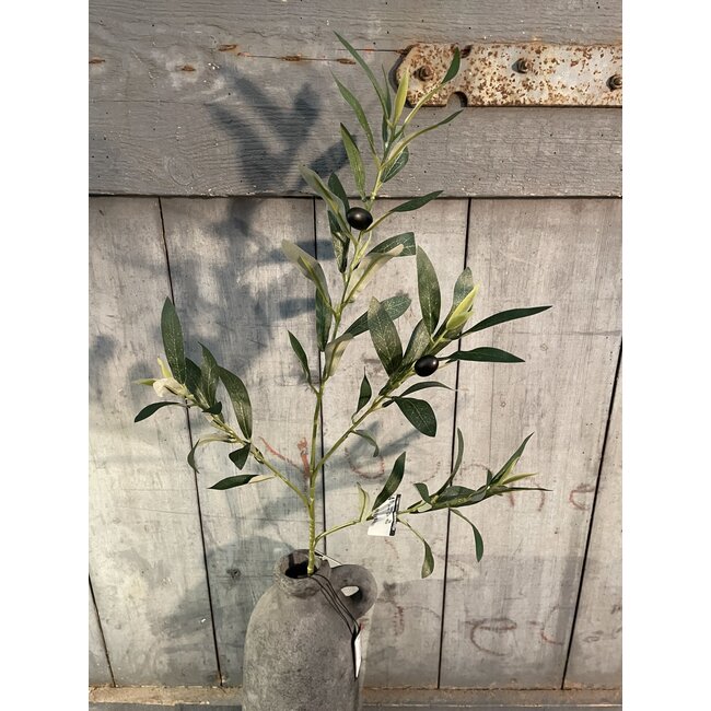 Countryfield # Olijventak - Olea groen-L5B20H80CM