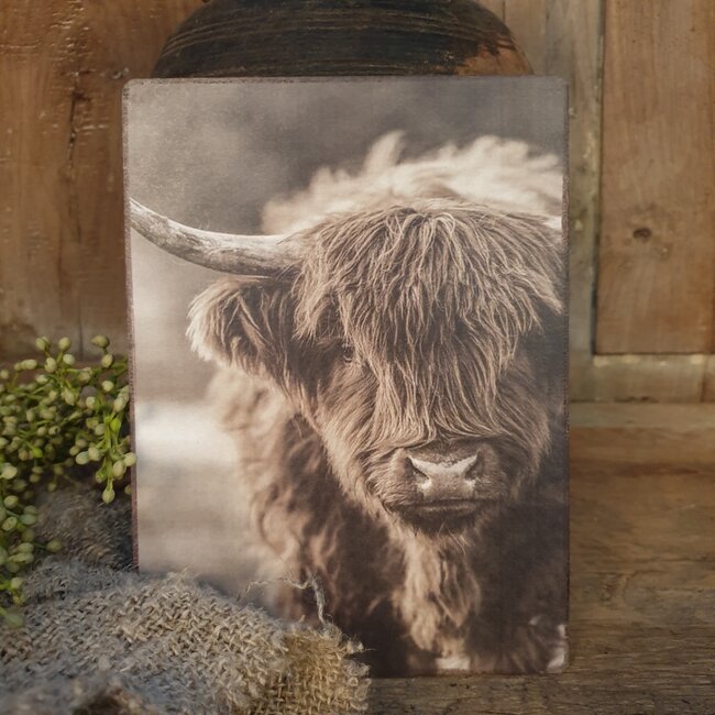 # 891 - afbeelding op hardboard - hooglander  - 14 x 19 cm