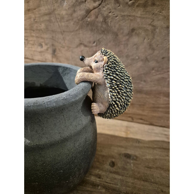 # Egeltje hangend S - 8 cm