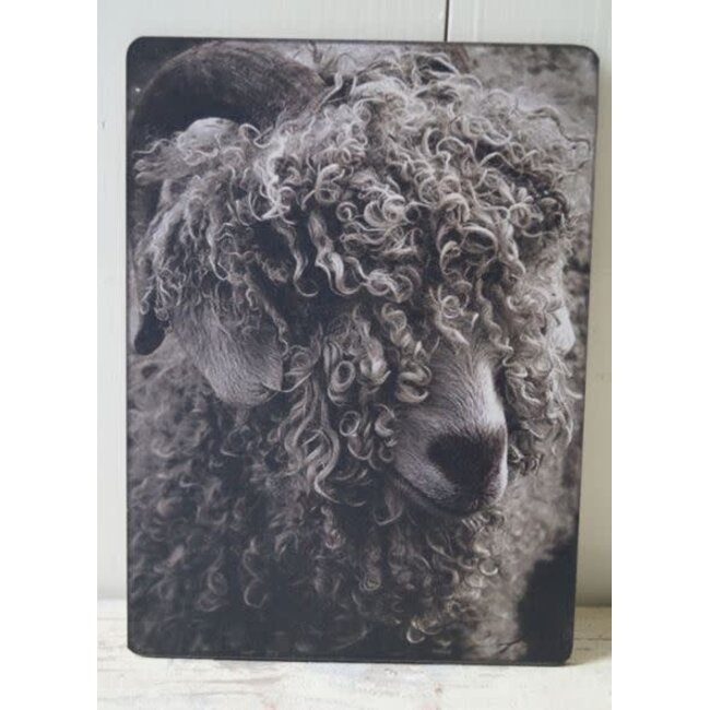 744 - Afbeelding  op hardboard - schaap krullen - 14 x 19 cm