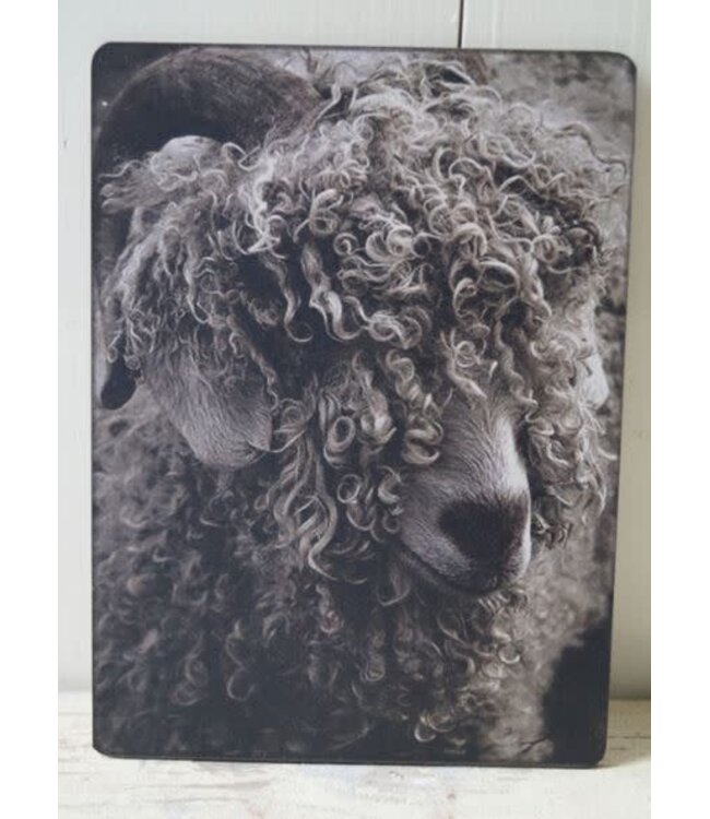 744 - Afbeelding  op hardboard - schaap krullen - 14 x 19 cm