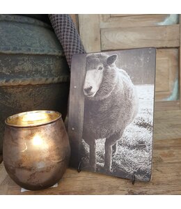 784 - afbeelding op hardboard - schaap - 14 x 19 cm