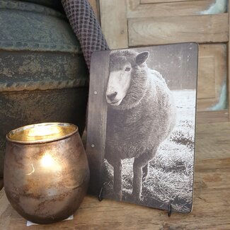# 784 - afbeelding op hardboard - schaap - 14 x 19 cm