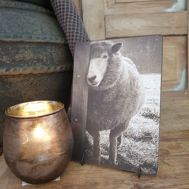 # 784 - afbeelding op hardboard - schaap - 14 x 19 cm