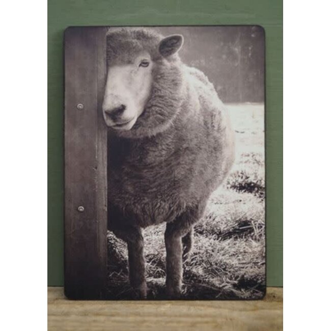 # 784 - afbeelding op hardboard - schaap - 14 x 19 cm