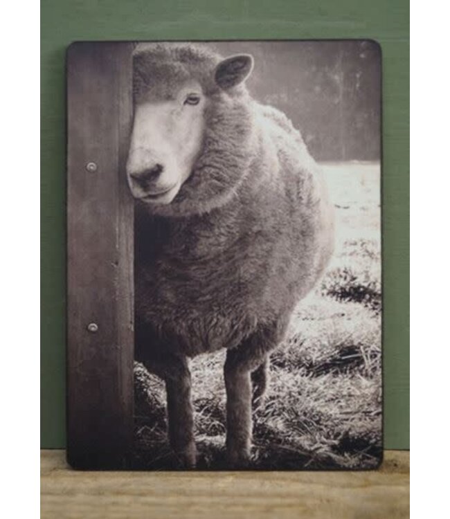 784 - afbeelding op hardboard - schaap - 14 x 19 cm