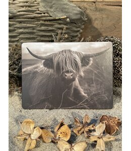 @ 870 - Schotse hooglander - liggend