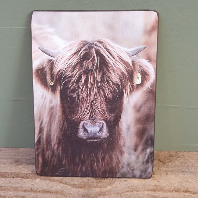 # 867 - Hooglander jong