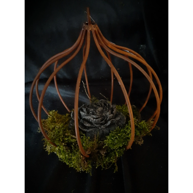 # punt mosbal 20 cm (excl. deco)