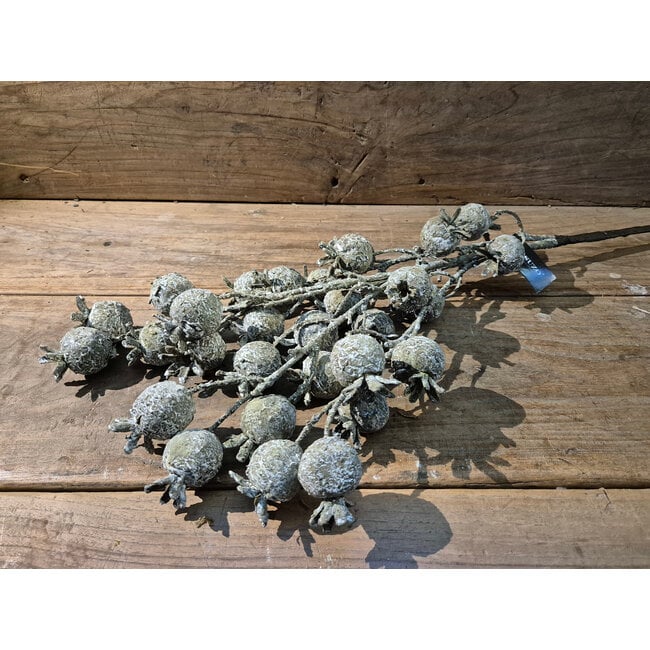 # Rozenbotteltak real touch bruin