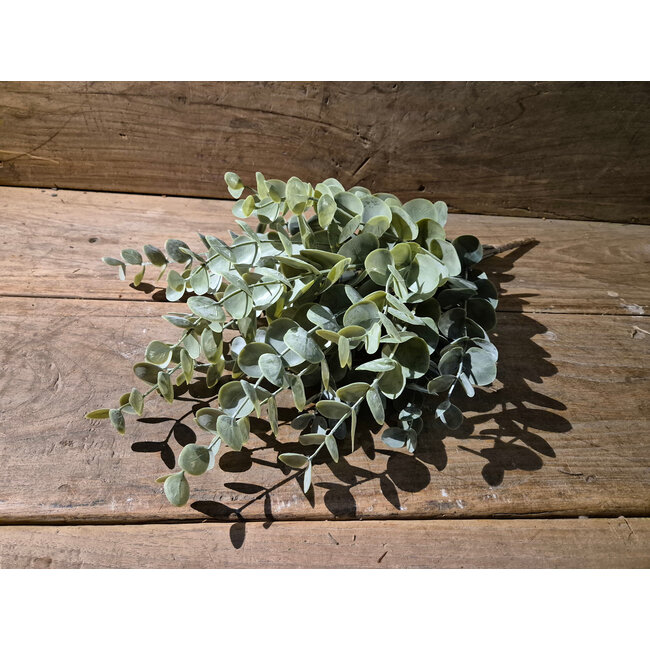 # Eucalyptus Bush Grande Green 50 cm