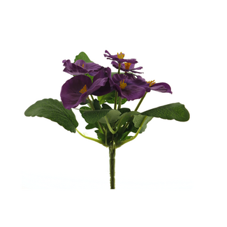Viola pick purple 20cm