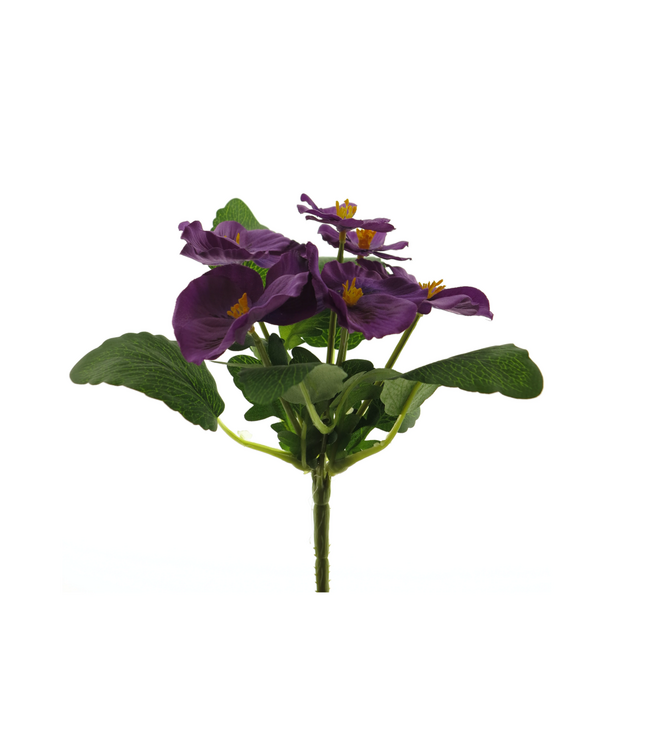 Viola pick purple 20cm