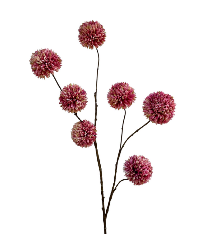 pompom spray x 7 lg 98 cm pink