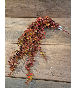 Kunsttak eucalyptus hangend burgundy