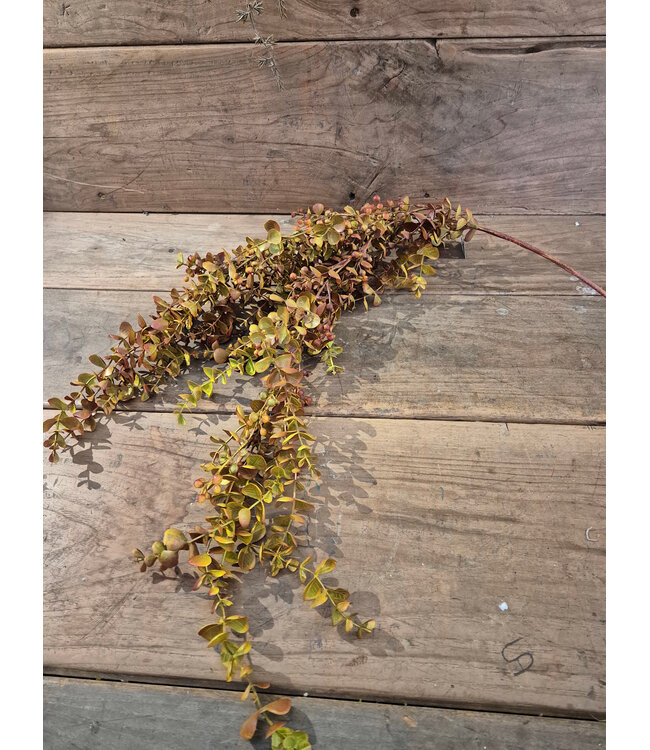 Kunsttak eucalyptus hangend mustard