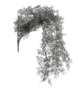 Countryfield @ Tillandsia L grijs-L18B16H78CM