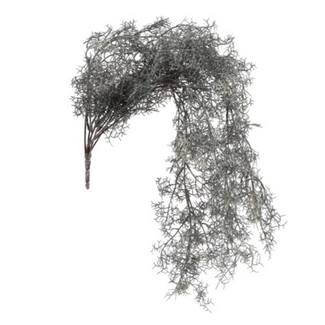 Countryfield ## Tillandsia L grijs-L18B16H78CM