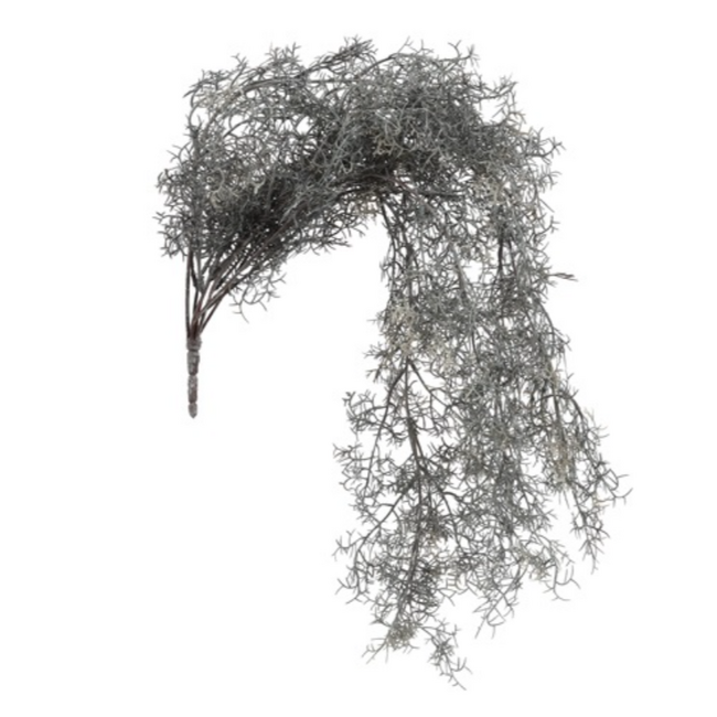 Countryfield ## Tillandsia L grijs-L18B16H78CM