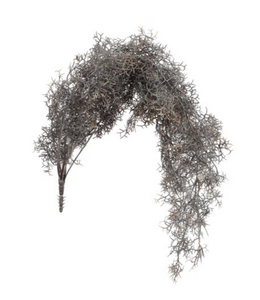 Countryfield # Kunstplant steker/hang Tillandsia L bruin-L18B16H78CM