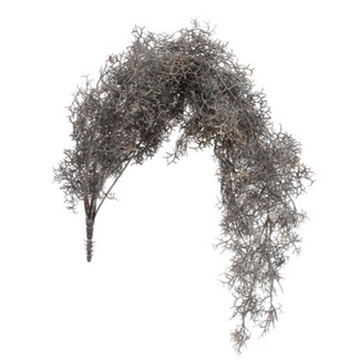 Countryfield # Kunstplant steker/hang Tillandsia L bruin-L18B16H78CM