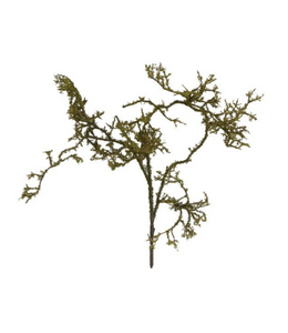 Countryfield @ Kunst tak Frangula Sphagnum bruin-L100B23H9CM
