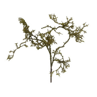 Countryfield # Kunst tak Frangula Sphagnum bruin-L100B23H9CM