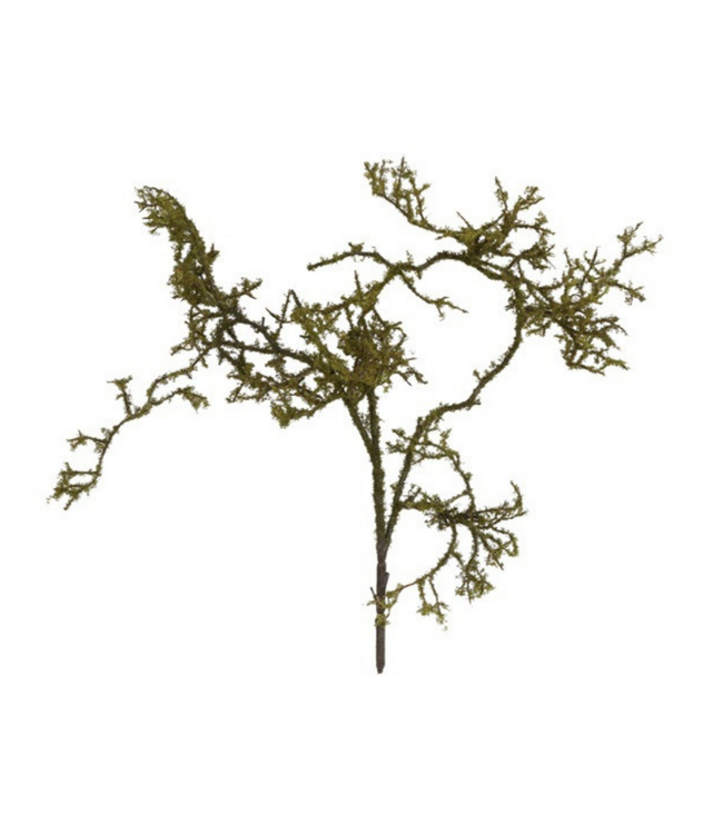 Countryfield # Kunst tak Frangula Sphagnum bruin-L100B23H9CM